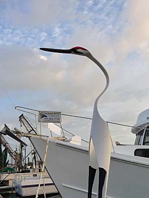 Whooping Crane Cruise