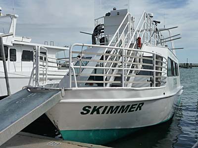Whooping Crane Cruise